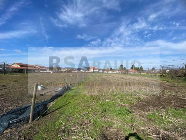 Braga Braga 101564320