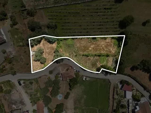 Braga Braga 103410217