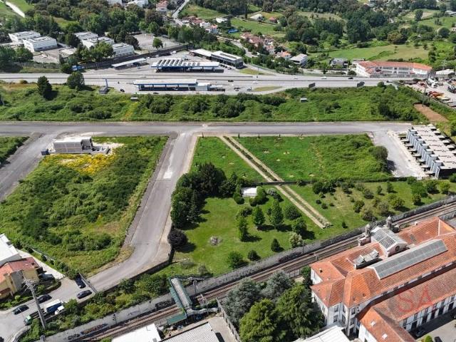 Braga Braga 103618801