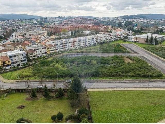 Braga Braga 103964961