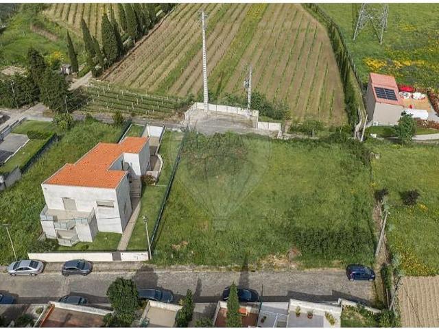 Braga Braga 103015964
