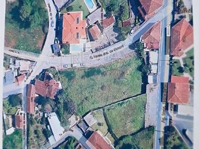 Braga Braga 104848065