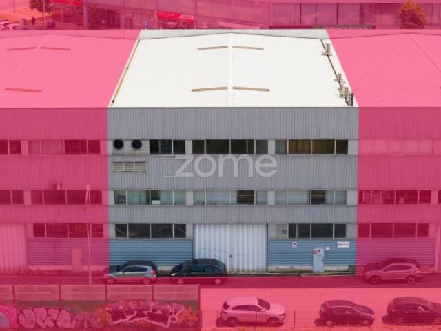 Braga Braga 104946002