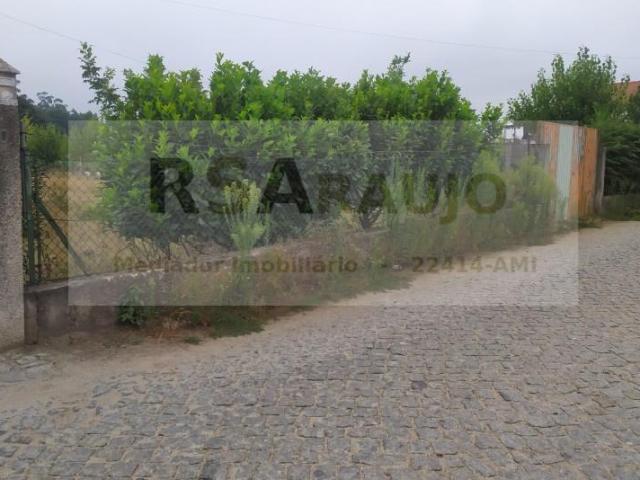 Braga Braga LS97119284