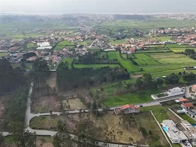 Braga Esposende 103540633
