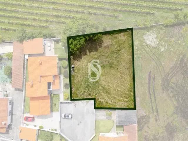 Braga Esposende 103540813