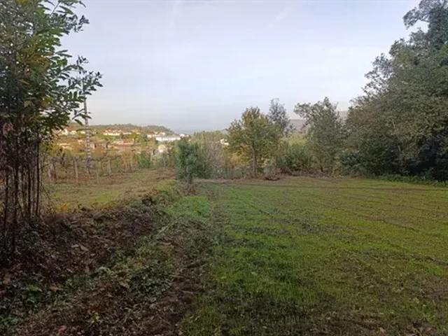 Braga Fafe 103540754