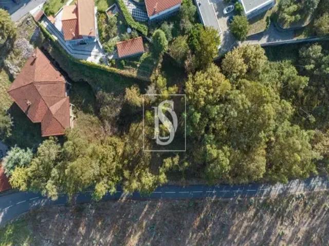 Braga Fafe 103531030