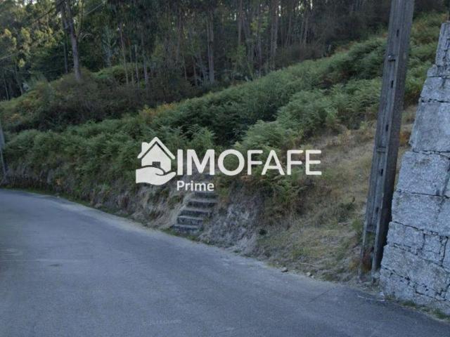 Braga Fafe 4820 102018510
