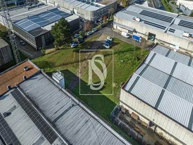 Braga Guimarães 103541094