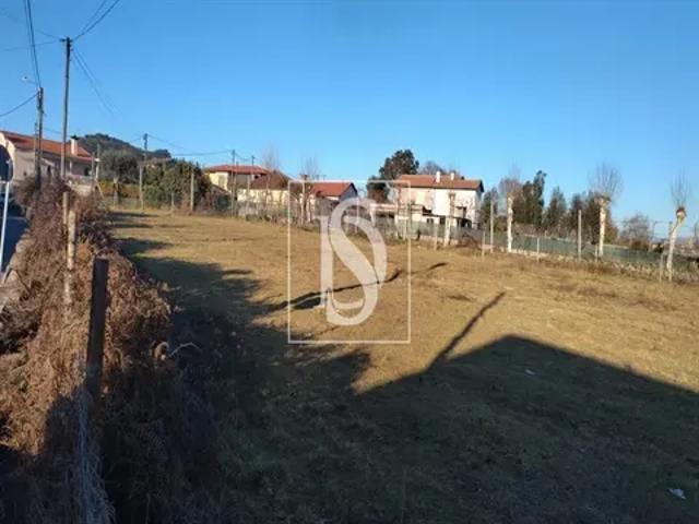 Braga Guimarães 103555875