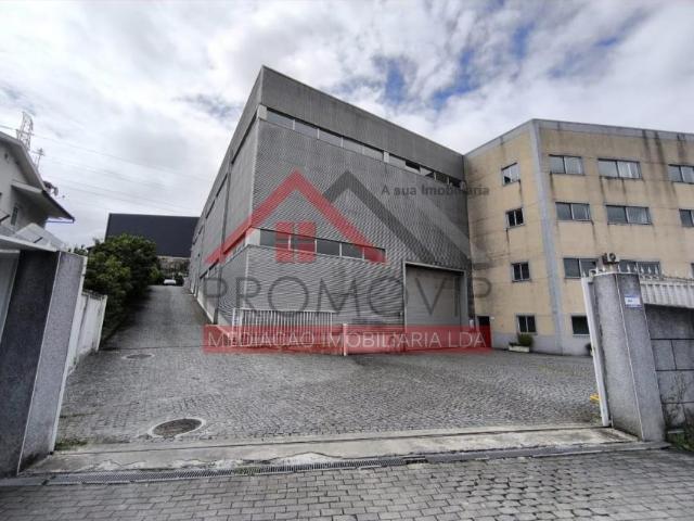 Braga Guimarães 4765 102629079
