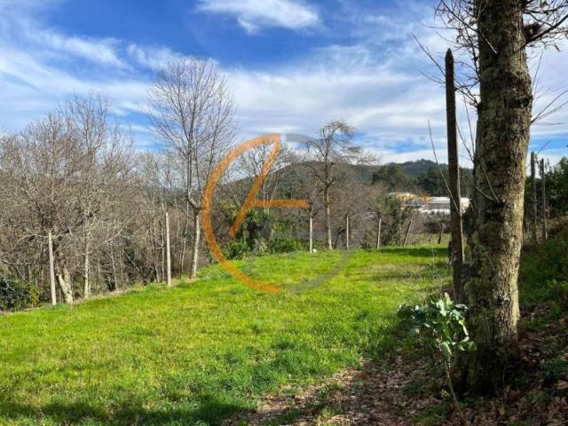 Braga Guimarães 4800 98704113