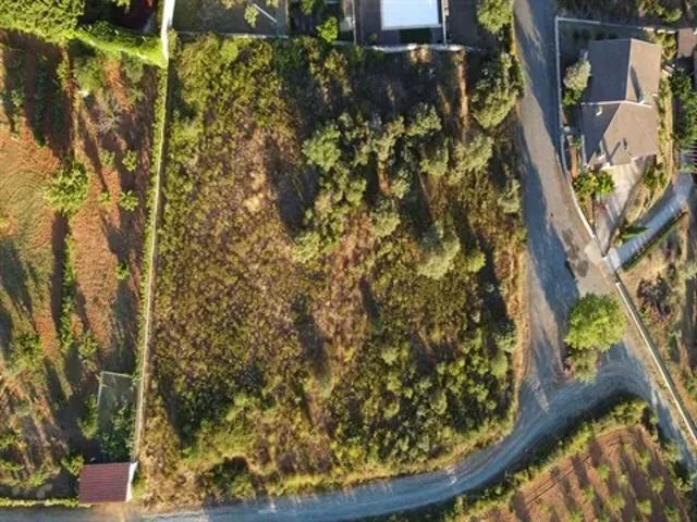 Bragança Bragança 103534982