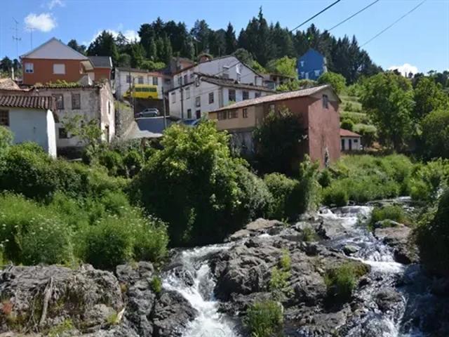 Bragança Bragança 103540491