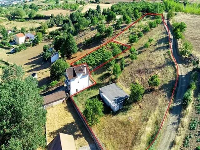 Bragança Bragança 103540632