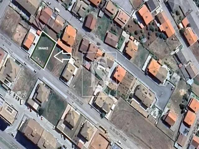 Bragança Bragança 103541164