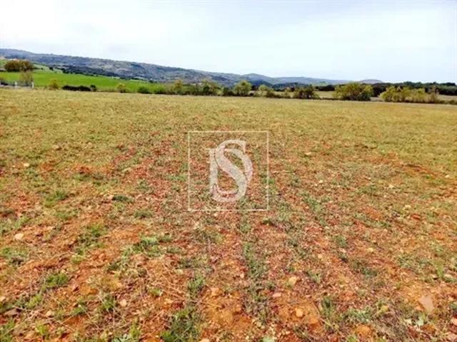 Bragança Bragança 103557146