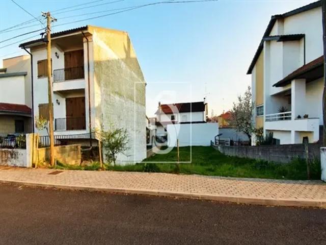 Bragança Bragança 103558334