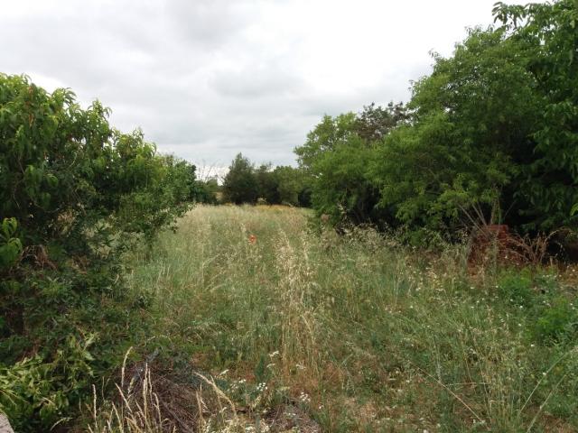 Bragayrac Vente Terrain 31