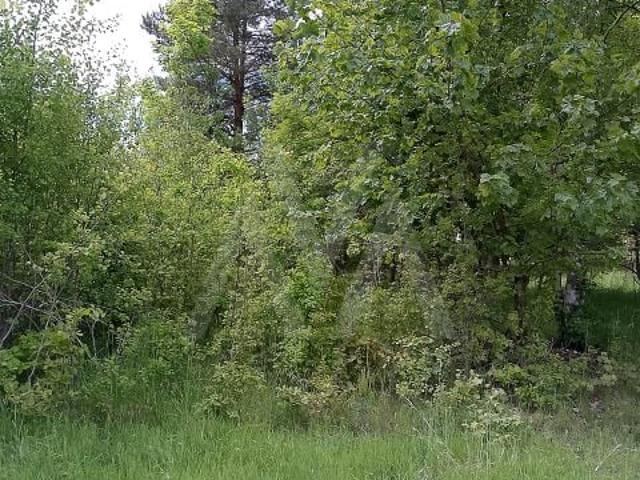 Brak 3 365 m², Trąbki Wielkie