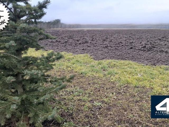 Brak 892 m², Pobiednik Wielki