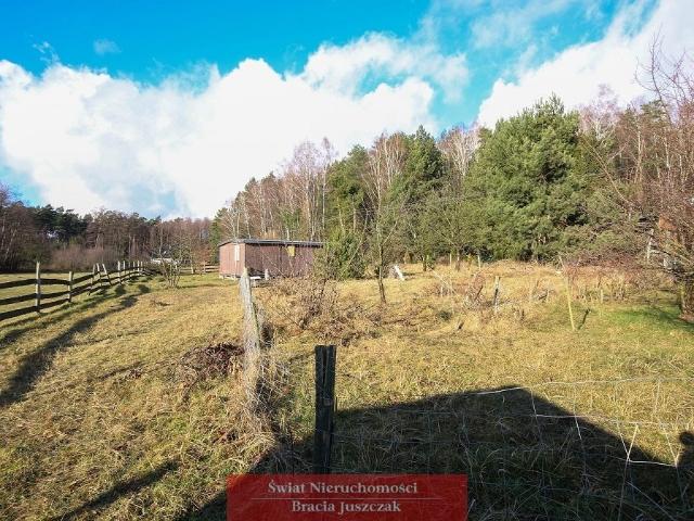 Działka 3700 m² przy lesie z prądem i wodą w Bralin
