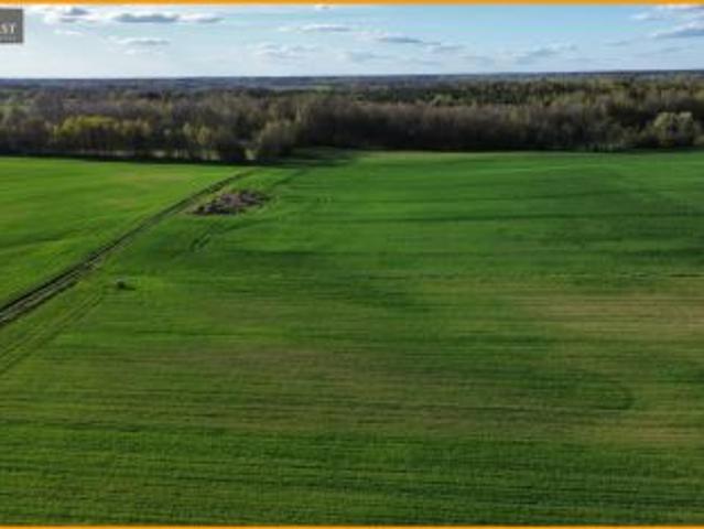 Bramka, 3020 m² Działka