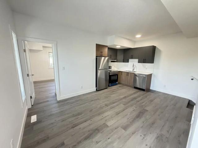 Brand New 3 Bedroom Main Floor+Semi BSMT Two Level Home Near NAIT |Never Lived