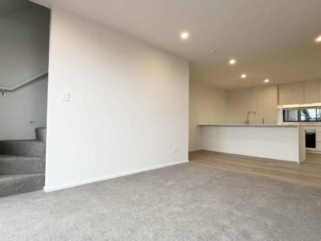 Brand new 3 bedroom in Spreydon