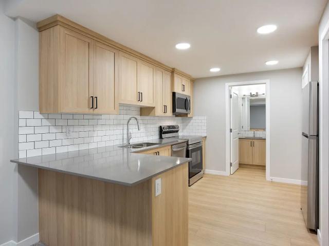Brand New 1 Bedroom Basement Suite for Rent in Silverado