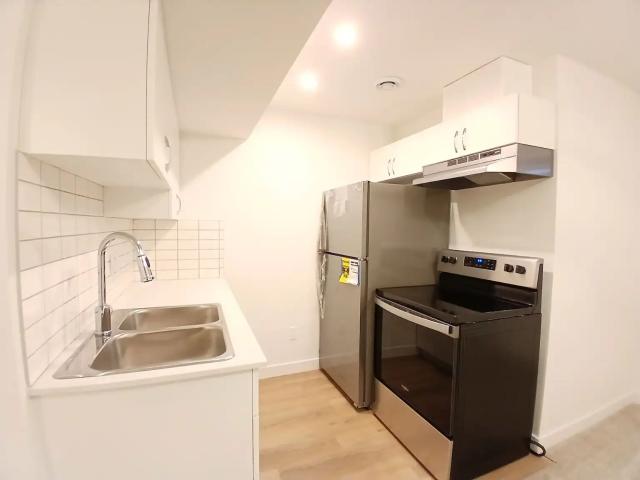 Brand New 1 Bedroom Basement Suite in Keswick 2024