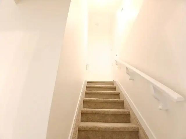 Brand New 1 Bedroom Basement Suite in Keswick