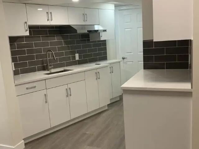 Brand New 1 bedroom basement suite