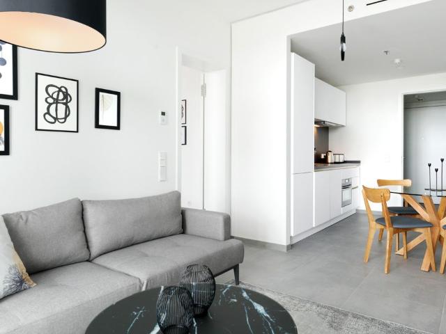 Brand New 2021 high rise apartment in Grand Tower Frankfurt, Frankfurt Amsterdam Apartments for Rent