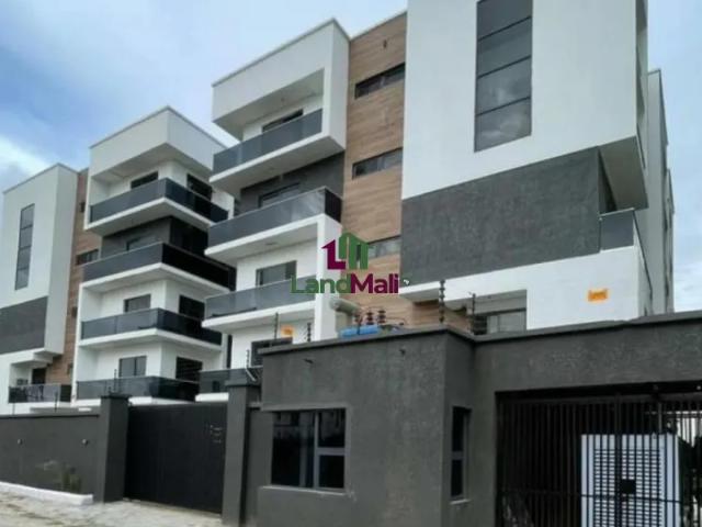Brand New 2 Bedroom Apartment With Elevator and Gym Located at Ikate, Lekki