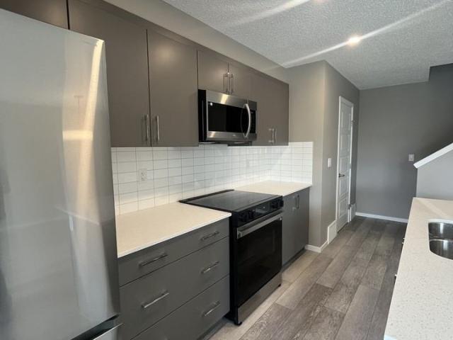 Brand New 2 Bedroom 2.5 Bathroom Townhouse with Attached Garage! 2 Bedroom Home for Rent at 20628 21 Ave Nw, Edmonton, AB T6M 1N2 Rural West