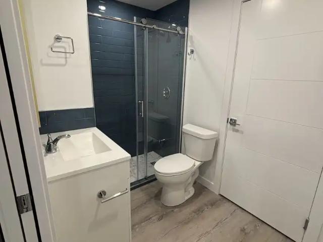 Brand New Basement Suite