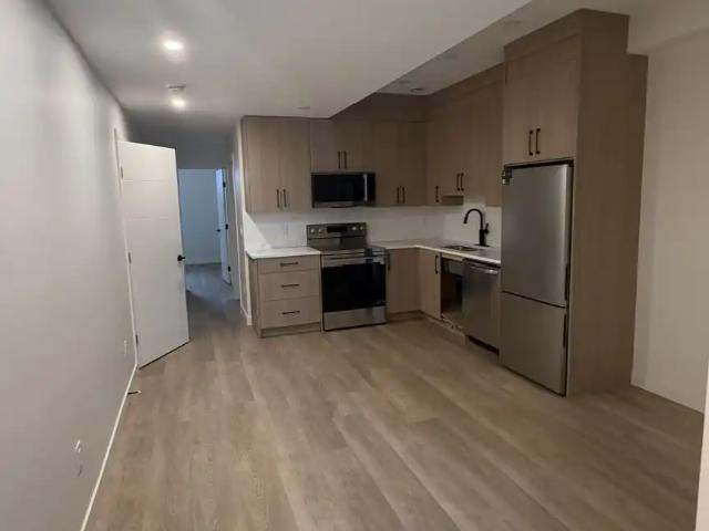 Brand new basement suite Bridgeland