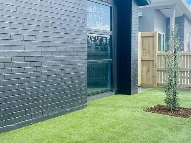 BRAND NEW BUILD in Golden Sands Papamoa