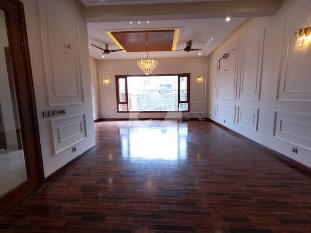 Brand new bungalow