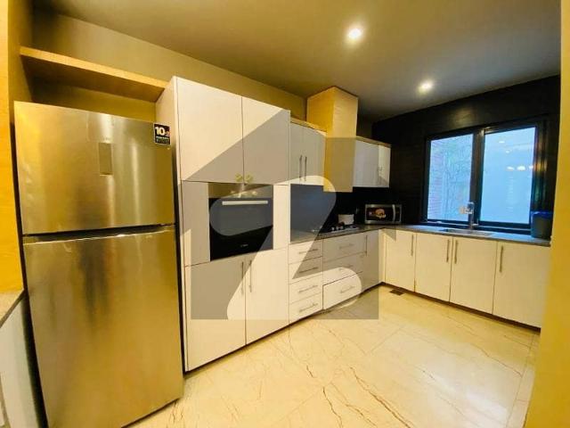 Brand New Ground Portion Luxurious Fully Furnished With Lawn For Rent