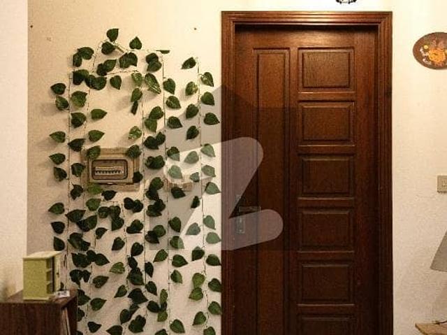 Brand New Flat For Rent
