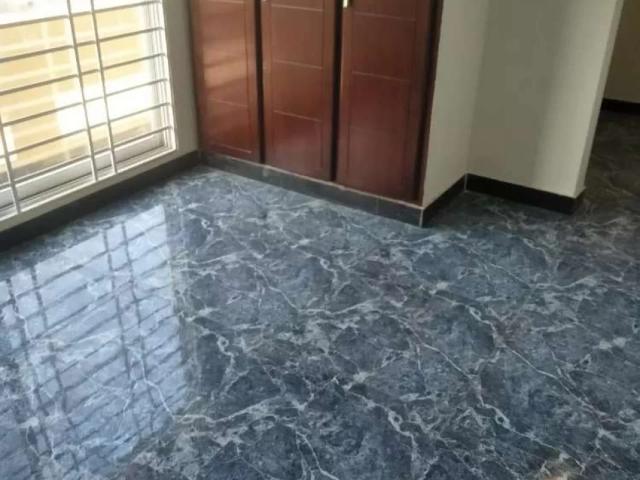 Brand new full house for rent Islamabad D 12 ID 56819