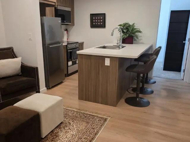 Brand New, Fully Furnished 2 Bedroom Legal Suite Utilities Included