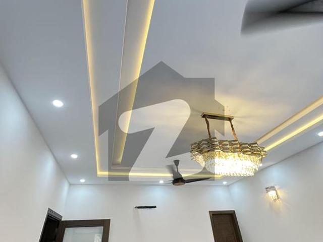 Brand new House For Rent D 12