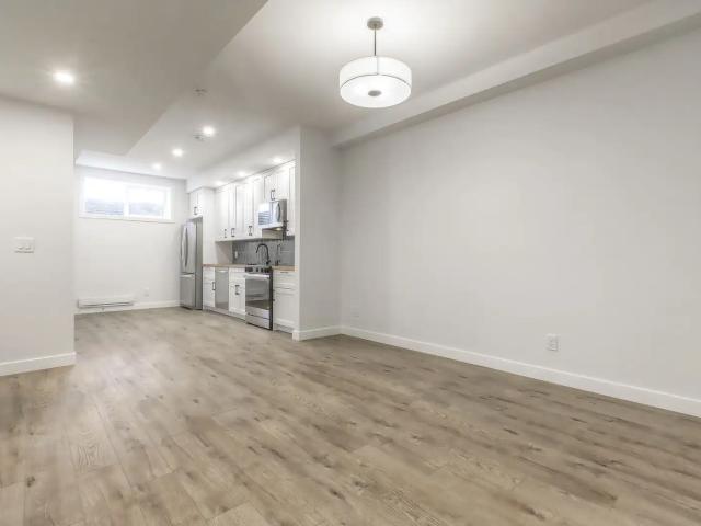 Brand New Luxury Basement Suite