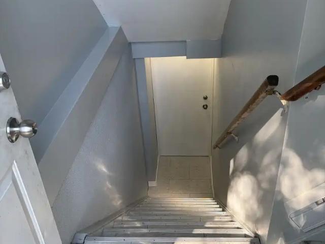 Brand new luxury basement suite