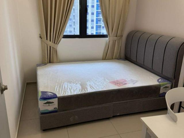 Brand New Single room in One Equine Residence