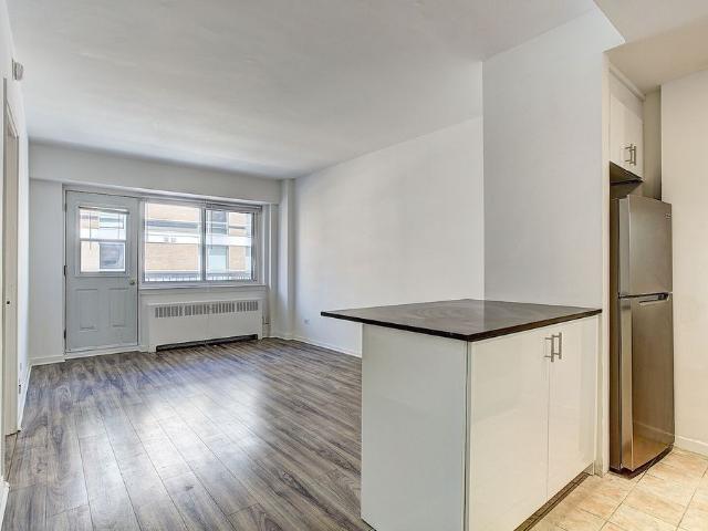 Brand New Renovated Apartments in heart of Downtown / McGill Ghetto
